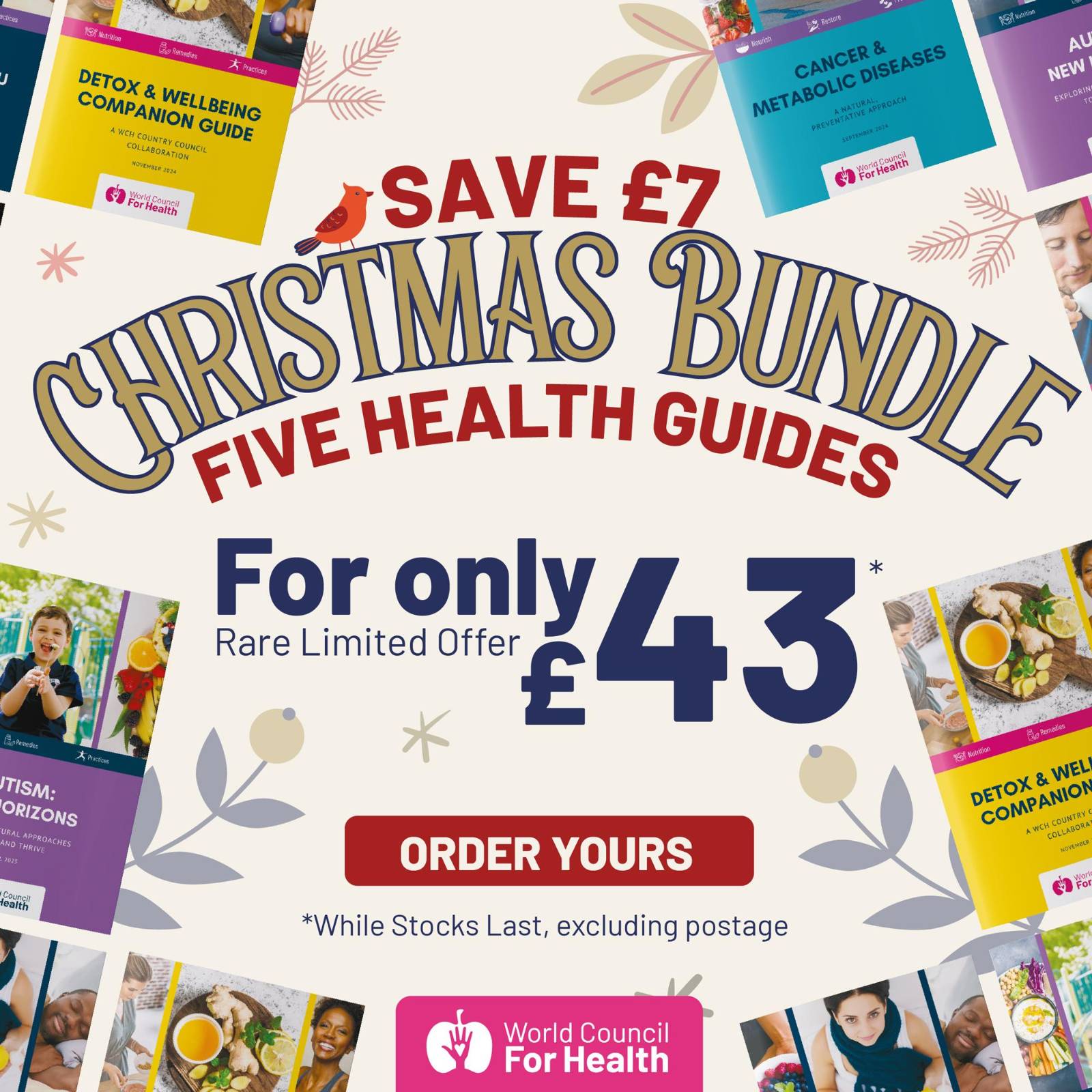 Five Health Guide Christmas Bundle
